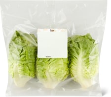 Laitue romaine mini vert