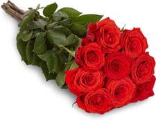 Fairtrade rose nobili