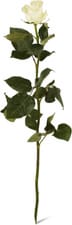 Fairtrade rose pièce blanche