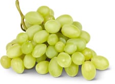 Migros Bio raisins vittoria