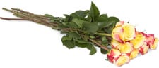 Roses nobles Fairtrade, le bouquet de 7, tige de 60 cm