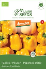 Piment Quadrato D'asti Giallo