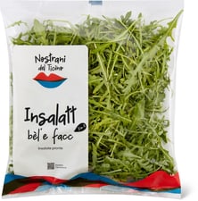 Rucola