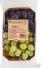 Migros Bio raisins melangés sans pépins