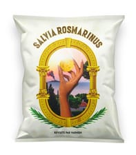 Chips Salvia Rosmarinus par Varnish