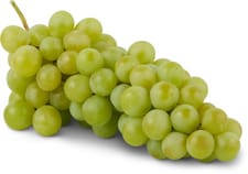 Bio Raisins Uva Italia