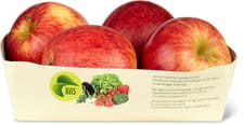 Bio pommes Gala