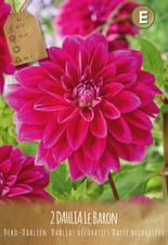 Semence (Couleur: LE BARON I)