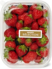 Sélection Fraises Mara des bois