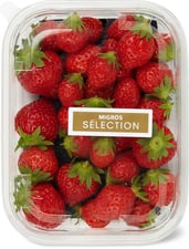 Sélection fragole Mara de bois 250g