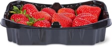 Extra fragole