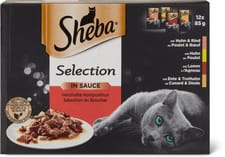 Selection Sauce viande