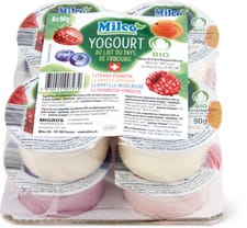 Bio yogourt aux fruits