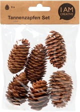 Set de pommes de pin 6 pcs.