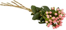 M-Classic hypericum