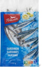 Pelican MSC Sardines