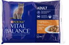 Adult Poulet en sauce