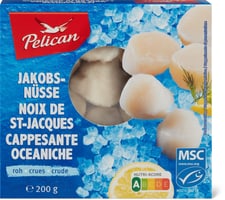 Pelican MSC noix de St-Jacques crues