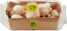 Migros Bio champignons bianchi
