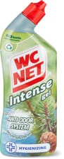 Intense Gel Mountain Fresh