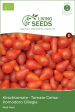 Tomate Red Pear