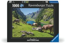 RVB Puzzle 1000 P. Fällensee