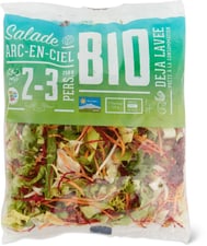 Bio Salade Arc-en-ciel