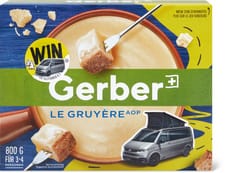 Gerber Fondue Gruyère