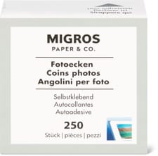 Paper & Co Coins photos