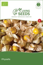 Physalis