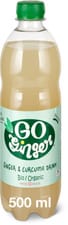 GoGinger Bio