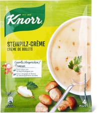 Knorr Steinpilz