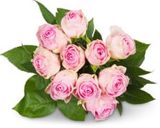Roses Grande, le bouquet de 10, tige de 50 cm