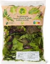 Bio salade jeunes pousses