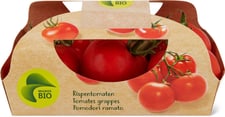 Bio Rispentomaten