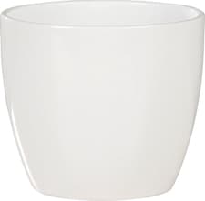 Vaso di cactus
