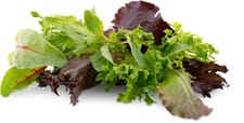 Bio Foglie piccole