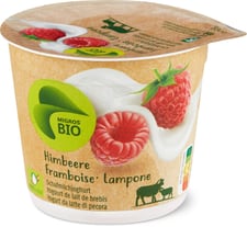 Bio yogourt au lait brebis framboise
