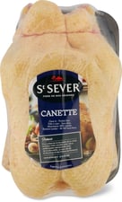 Canette