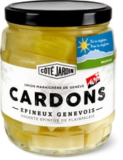 Côté Jardin De la région Cardons épineux genevois