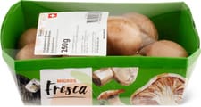 Champignons marroni