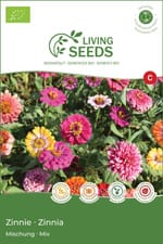 Zinnias