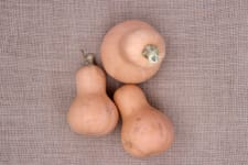 Courge Butternut Waltham