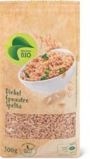 Bio épeautre