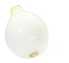 Cipolla