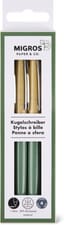 Stylo Eco