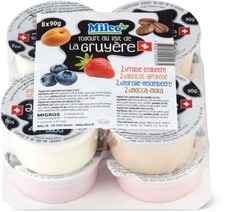 Yogurt pack famille
