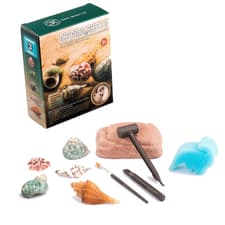 Discovery Toy Blue