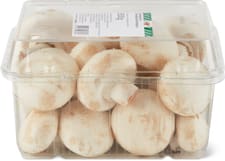 M-Budget Champignons