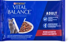 Vital Balance Adult with beef and carrots